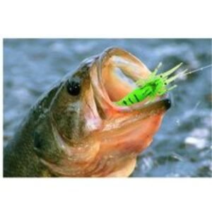 Fishing Advent Calendar - 24 Fishing Accessories & Gifts for Anglers | Wowcher