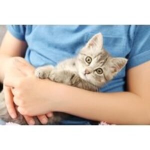 CPD-Certified Animal Care - Level 3 Certification Course | Wowcher