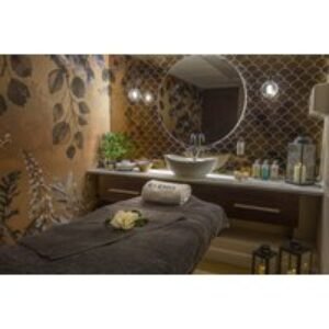 4* Dunston Hall ELEMIS Spa Day with Treatments