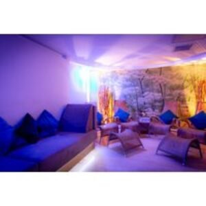 4* Park Royal ELEMIS Spa Day with Treatments