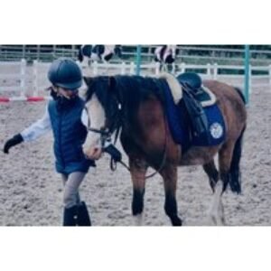 1 Hour Pony Experience for Children - Includes Grooming & Feeding - Upper Hatton Stables
