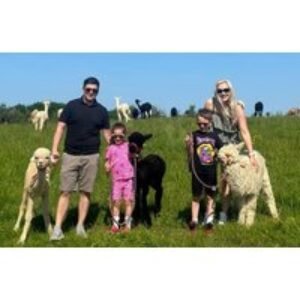 1 Hr Alpaca Experience for up to 4