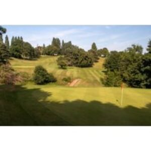 One-Hour Golf Lesson with Expert PGA Professional Coach | Wowcher