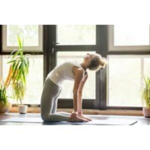 Online Yoga & Meditation Training Course with Certificate | Wowcher