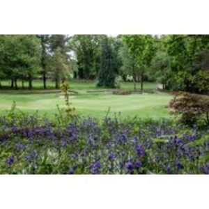 18 Holes of Golf at Scotland's Best Golf Club 2024