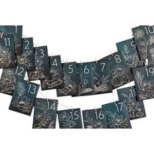 Flower or Vegetable Seed Advent Calendar - 24 Varieties Inside | Wowcher
