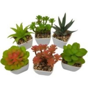 6 Pcs Artificial Succulent Potted Plants | Wowcher