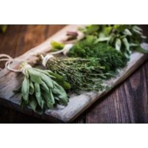 Master Herbalist Online Diploma Course with Certification | Wowcher