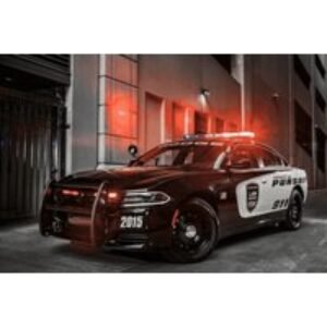 Adult or Junior BMW M340i Police Interceptor or US Dodge Charger Police Car Driving Experience - 3