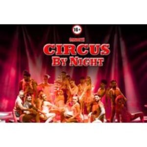 Grandstand Entry to Electrifying Circus By Night 2026 Tour Show | Wowcher