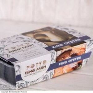 King Oyster Mushroom Windowsill Growing Kit - Indoor Edible Fungi | Wowcher