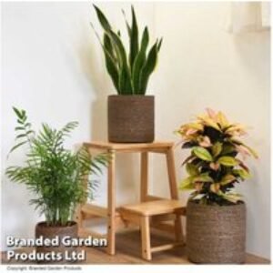 3 Pack Chia Seagrass Planter Baskets - Sustainable Indoor/Outdoor Plant Holders | Wowcher