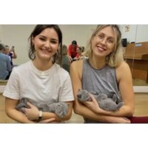 60 Minutes Kitty Yoga Classes experience for One  - London & Manchester Locations | Wowcher