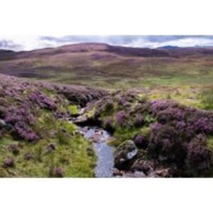 DDB Stay for 2 at Leapark Hotel at The Kelpies. Late Checkout and Wine on Arrival | Wowcher