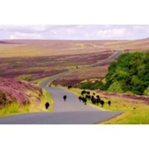 North Yorkshire Country Inn Stay with Dinner and Breakfast Included | Wowcher
