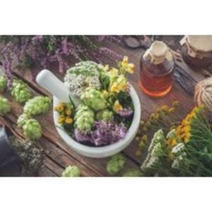 Master Herbalist Online Diploma Course with Certification | Wowcher