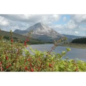 Relaxing Donegal 2 or 3 Night Getaway at Óstán Loch Altan - with Breakfast & Dinner for Two | Wowcher
