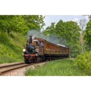 Bluebell Railway: Steam Train Railway Ride Through Scenic Sussex Countryside - Child