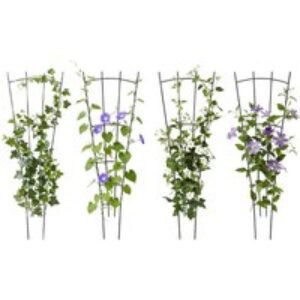 4-Pack Outdoor Metal Trellis Set with Open Grid Design for Climbing Plants | Wowcher