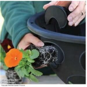 BloomAround 30cm Hanging Baskets - Weatherproof
