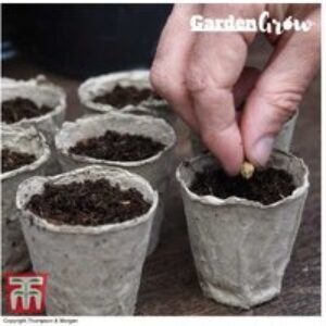 Biodegradable Eco Fibre Seedling Pots for Young Plants - 48