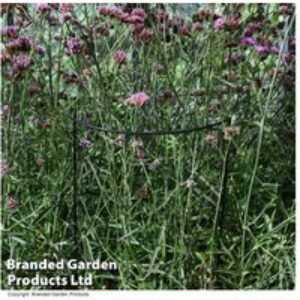 50cm Half Round Metal Plant Support - Weatherproof Garden Stake | Wowcher