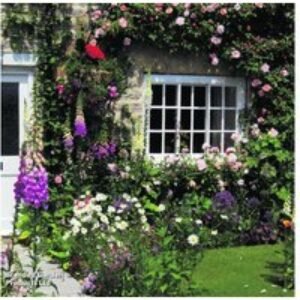 36 Hardy Flowering Perennial Plants - Cottage Garden Collection | Wowcher
