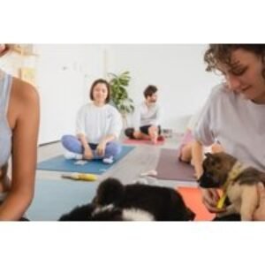 1-Hour Puppy Yoga Experience in London - Relax & Unwind with Playful Pups! | Wowcher