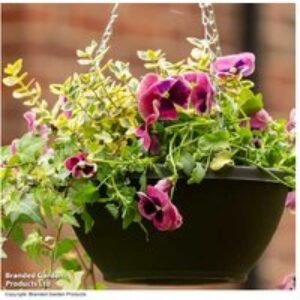 25cm Plastic Hanging Basket for Flowers & Trailing Plants | Wowcher