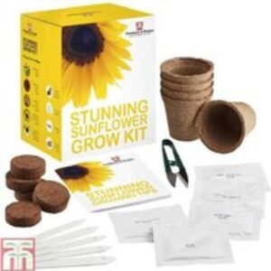Sunflower Seed Growing Kit - Vibrant Annual Flower