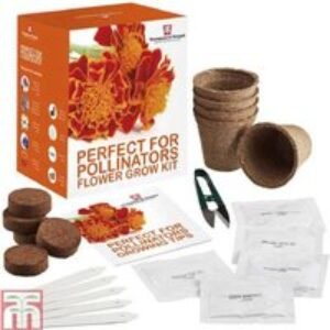 Pollinator Flower Seed Kit - Annuals & Perennials for Bees & Butterflies | Wowcher