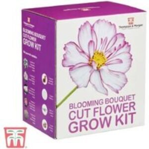Cut Flower Seed Grow Kit - Flowering Annuals for Vibrant Bouquets | Wowcher
