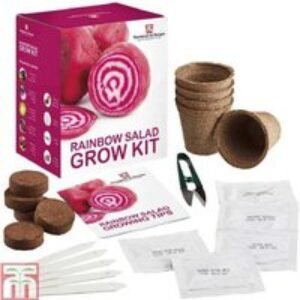 Rainbow Salad Vegetable Seed Grow Kit - 5 Colourful Varieties | Wowcher
