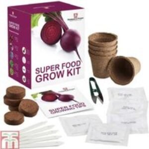 Super Food Vegetable Seed Grow Kit - Easy Home Gardening | Wowcher