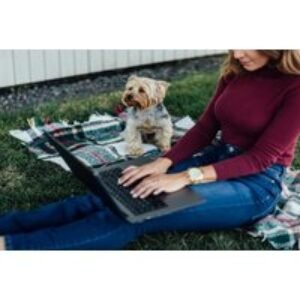 CPD Accredited Dog Walking Business Online Course | Wowcher