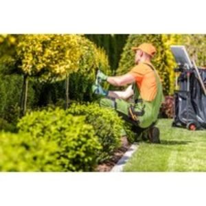 Garden Design & Landscaping Online Course with CPD Certification | Wowcher