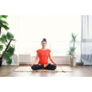 Stress Management Diploma Online Course with Certificate | Wowcher