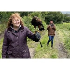 60-Min Hawk Walk with Harris Hawks - For Up To 2 - Shropshire Falconry | Wowcher
