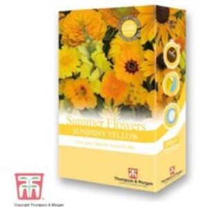 Summer Flowers Yellow Mix Scatter Pack - Annual Flower Seeds for Borders | Wowcher