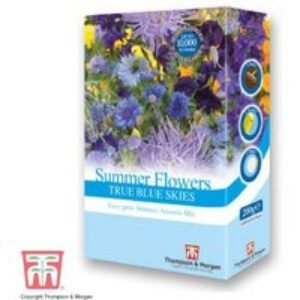 Blue Summer Flowering Annuals Scatter Pack - Easy Sow Mix | Wowcher