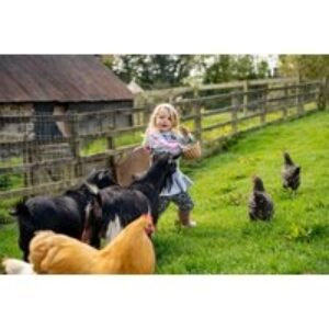 45min Animal Feeding Mini Farmers Experience - Feed Lambs