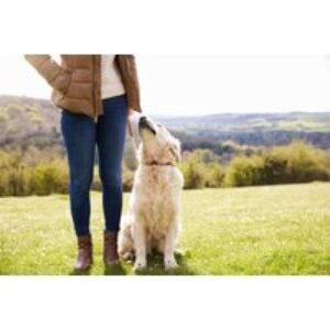Comprehensive Online Dog Training Course - Lifetime Access with Certificate Option | Wowcher