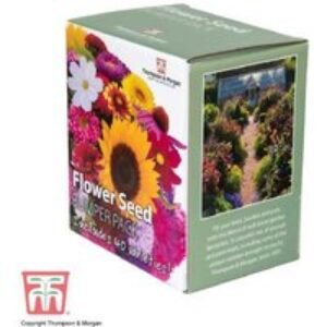 Ultimate Flower Seed Box Bumper Pack - 40+ Varieties