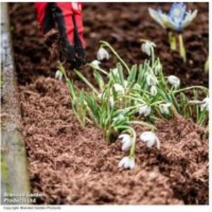Peat-Free Premium Bed & Borders Compost - 40L