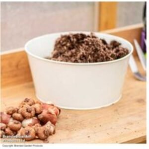 Peat Free Bulb Compost 40L - Sustainable