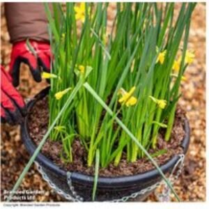 Peat-Free Container Compost 40L - All-Natural