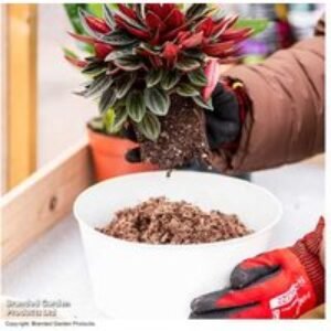 Peat-Free Houseplant Compost 40L - Eco-Friendly