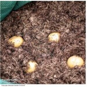 Peat-Free Potato Compost 40L with Incredicrop - Premium Blend for Healthy Tubers | Wowcher