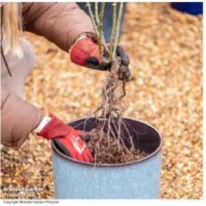 Peat-Free Rose Compost with John Innes - 40L