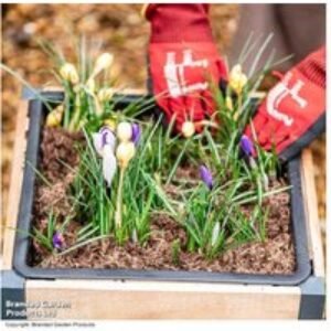 Peat-Free Premium Bedding Compost 40L - For Vibrant Summer Blooms | Wowcher